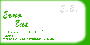 erno but business card